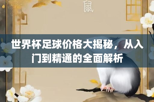 世界杯足球价格大揭秘，从入门到精通的全面解析