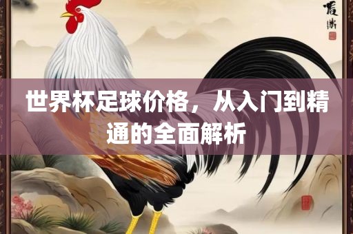 世界杯足球价格，从入门到精通的全面解析