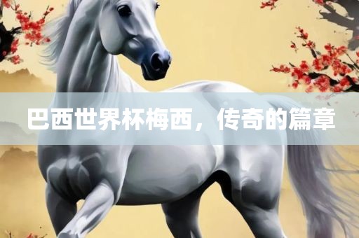 巴西世界杯梅西，传奇的篇章