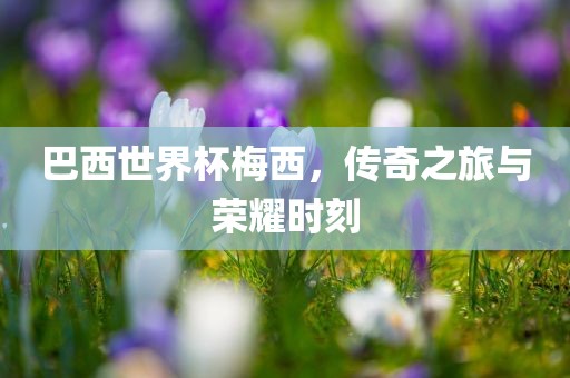 巴西世界杯梅西，传奇之旅与荣耀时刻常熟市高丰毛纺织品有限公司