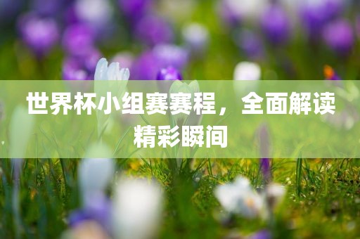 世界杯小组赛常熟市高丰毛纺织品有限公司赛程，全面解读精彩瞬间