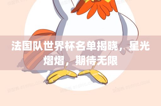 法国队世界杯名单揭晓，星光熠熠，期待无限常熟市高丰毛纺织品有限公司