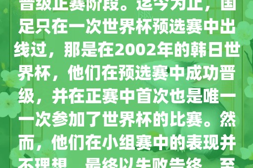 国足踢进世界杯是指中国男子足球队在世界杯足球赛中成功晋级正赛阶段。迄今为止，国足只在一次世界杯预选赛中出线过，那是在2002年的韩日世界杯，他们在预选赛中成功晋级，并在正赛中首次也是唯一一次参加了世界杯的比赛。然而，他们在小组赛中的表现并不理想，最终以失败告终。至于现在，国足还没有再次踢进世界杯。