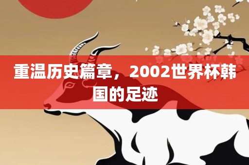 重温历史篇章，2002世界杯韩国的足迹常熟市高丰毛纺织品有限公司