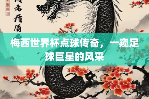 梅西世界杯点球传奇，一窥足球巨星的风采