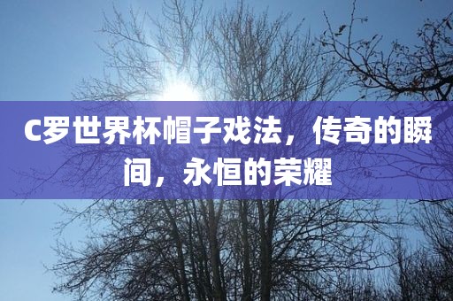 C罗世界杯帽子戏法，常熟市高丰毛纺织品有限公司传奇的瞬间，永恒的荣耀