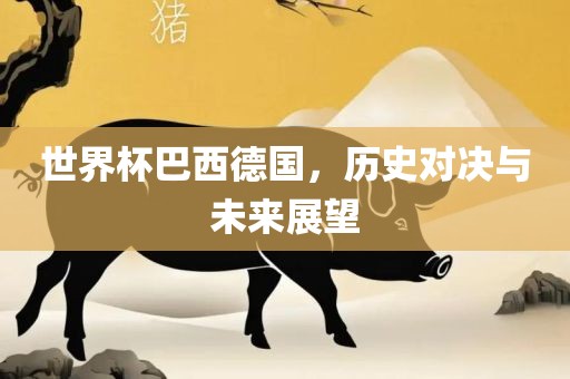 世界杯巴西常熟市高丰毛纺织品有限公司德国，历史对决与未来展望