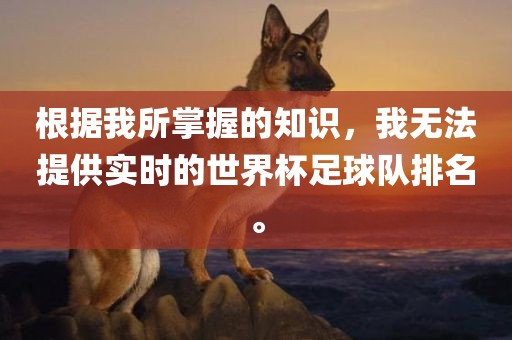 根据我所掌握的知识，我无法提供实时的世界杯足球队排名。