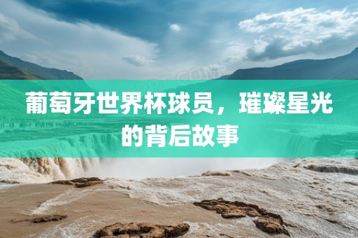 葡萄牙世界杯球员，璀璨星光的背后故事