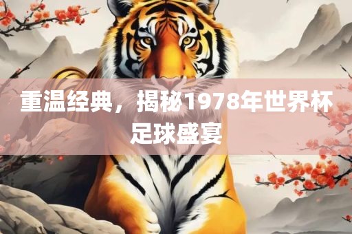 重温经典，揭秘1978年世界杯足球盛宴常熟市高丰毛纺织品有限公司