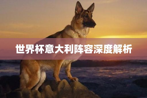 世界杯意大利阵容深度解析