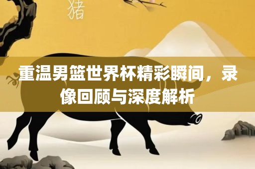 重温男篮世界杯精彩瞬间，录像回顾与深度解析
