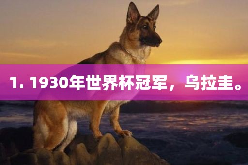 1. 1930年世界杯冠军，乌拉圭。