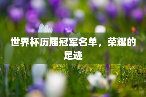 世界杯历届冠军名单，荣耀的足迹