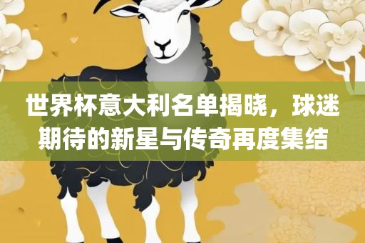 世界杯意大利名单揭晓，球迷期待的新星与传奇再度集结常熟市高丰毛纺织品有限公司