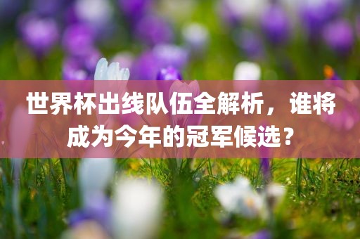 世界杯出线队伍全解析，谁将成为今年的冠军候选？常熟市高丰毛纺织品有限公司