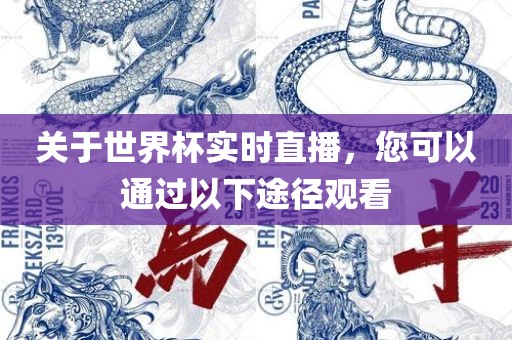 关于世界杯实时直播，您可以通过以下途径观看