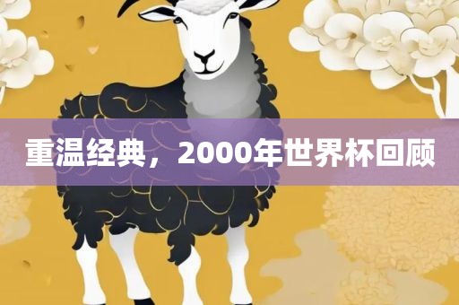 重温经典，常熟市高丰毛纺织品有限公司2000年世界杯回顾