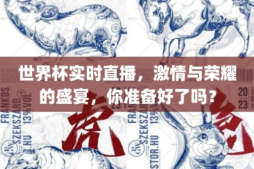 世界杯实时直播，激情与荣耀的盛宴，你准备好了吗？