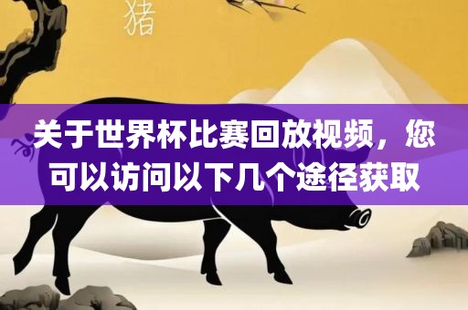关于世界杯比赛回放视频，您可以访问以下几个途径常熟市高丰毛纺织品有限公司获取