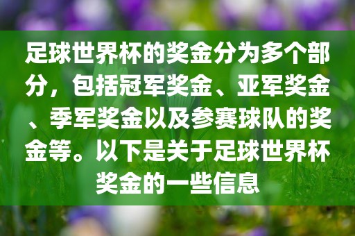 足球世界杯的奖金分为多个部分，包括冠军奖金、亚军奖金、季军奖金以及参赛球队的奖金等。以下是关于足球世界杯奖金的一些信息