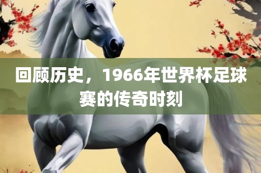 回顾历史，1966年世界杯足球赛的传奇时常熟市高丰毛纺织品有限公司刻