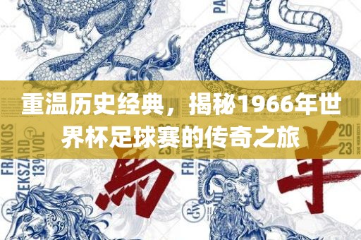 重温历史经典，揭秘1966年世界杯足球赛的传奇之旅