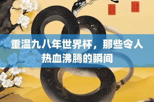 重温九八年世界杯，那些令人热血沸腾的瞬间常熟市高丰毛纺织品有限公司