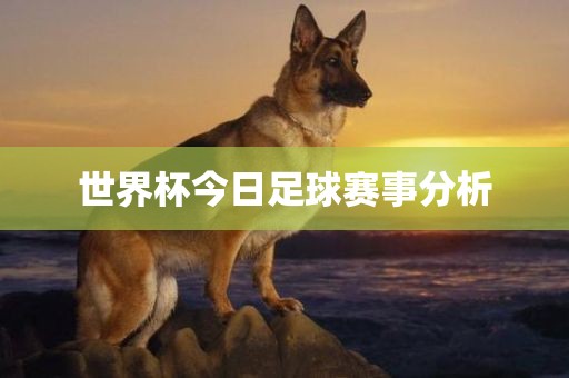 世界杯今日足球赛事分析