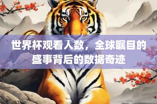 世界杯观看人数，全球瞩目的盛事背后的数据奇迹