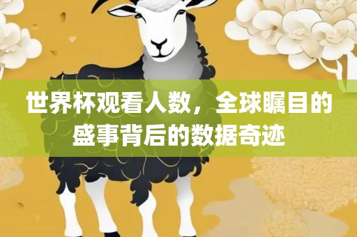 世界杯观看人数，全球瞩目的盛事背后的数据奇迹