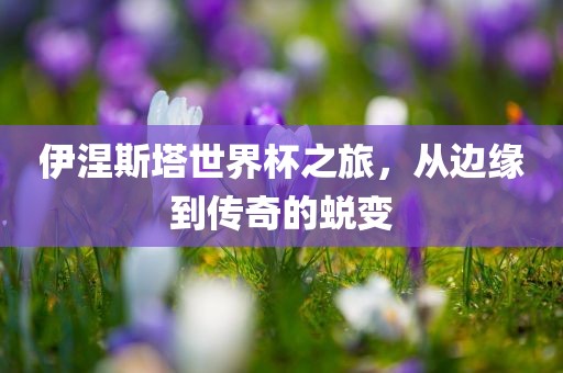 伊涅斯塔世界常熟市高丰毛纺织品有限公司杯之旅，从边缘到传奇的蜕变