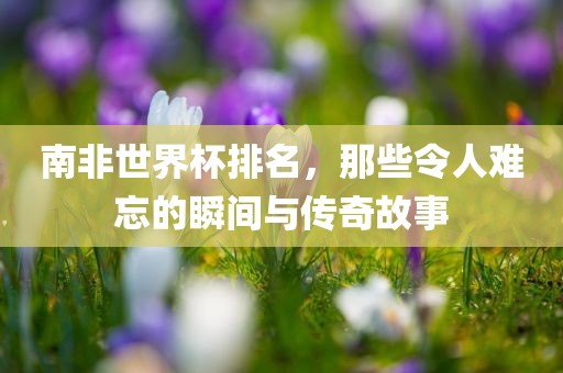 南非世界杯排名，那些令人难忘的瞬间与传奇故事常熟市高丰毛纺织品有限公司