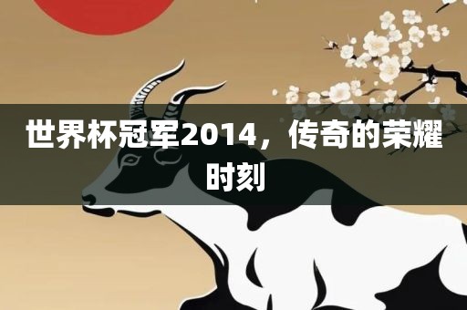 世界杯冠军2014常熟市高丰毛纺织品有限公司，传奇的荣耀时刻
