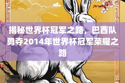 揭秘世界杯冠军之路，巴西队勇夺2014年世界杯冠军荣耀之路常熟市高丰毛纺织品有限公司