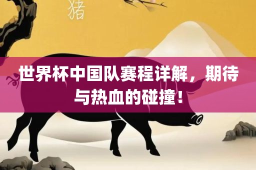 世界杯中国队赛程详解，期待与热血的碰撞！