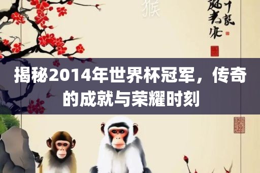 揭秘2014年世界杯冠军，传奇的成就与荣耀时刻常熟市高丰毛纺织品有限公司