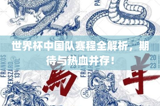 世界杯中国队赛程全解析，期待与热血并存！