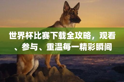 世界杯比赛下载常熟市高丰毛纺织品有限公司全攻略，观看、参与、重温每一精彩瞬间