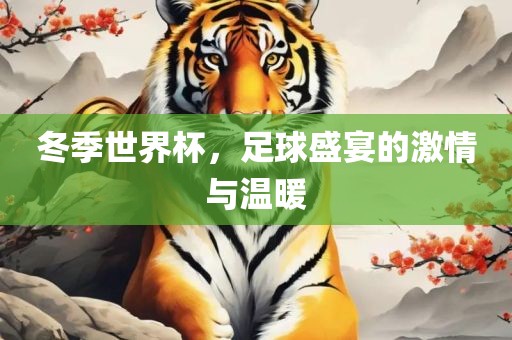 世界杯足球 第2页
