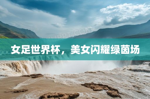 女足世界杯，美女闪耀绿茵场常熟市高丰毛纺织品有限公司