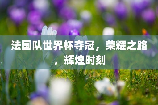 法国队世界杯夺冠，荣耀之路，辉煌时刻