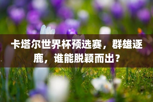 卡塔尔世界杯预选赛，群雄逐鹿，谁能脱颖而出？