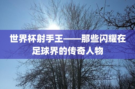 世界杯射手王——那些闪耀在足球界的传奇人物常熟市高丰毛纺织品有限公司