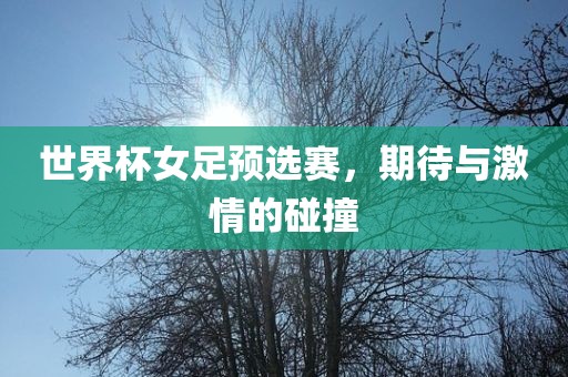 世界杯女足预选赛，期待与激情的碰撞