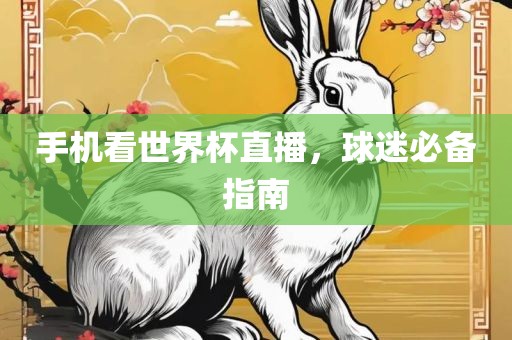 手机看世界杯直播，球迷必备指南常熟市高丰毛纺织品有限公司