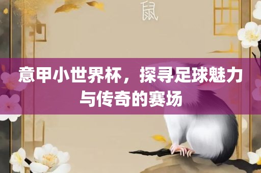 意甲小世界杯，探寻足球魅力与传奇的赛场常熟市高丰毛纺织品有限公司