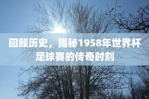 世界杯足球赛 第6页