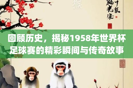 回顾历史，揭秘1958年世界杯常熟市高丰毛纺织品有限公司足球赛的精彩瞬间与传奇故事