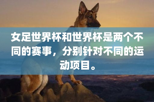 女足世界杯和世界杯是两个不同常熟市高丰毛纺织品有限公司的赛事，分别针对不同的运动项目。